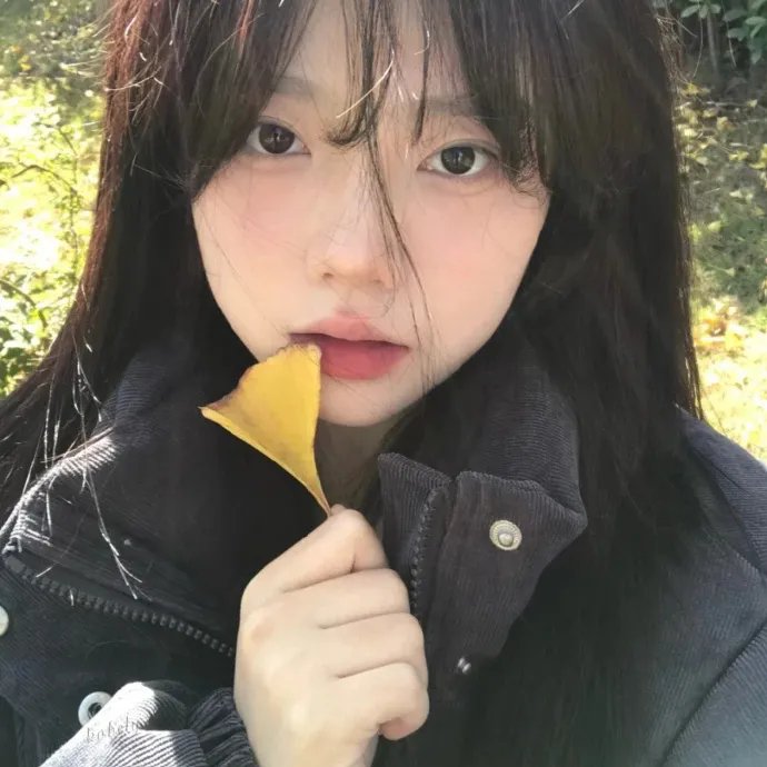 双花镜